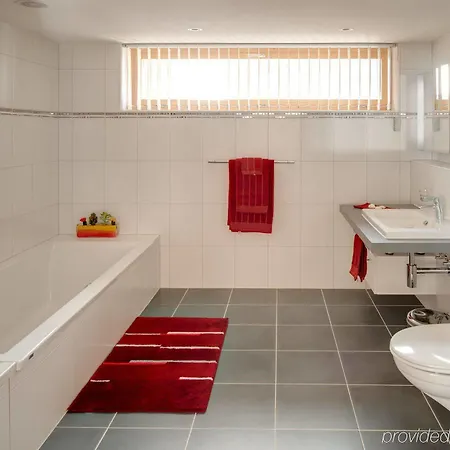 Meric Superior Daire Zermatt