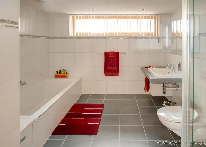 梅里克高级公寓 公寓 采尔马特