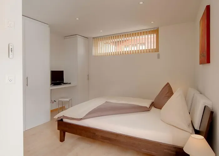 梅里克高级公寓 采尔马特